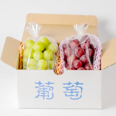 【2026年発送】シャインマスカット・クイーンルージュ(R)セット 2〜3房(約1kg)【配送不可地域：離島・北海道・沖縄県】【1636249】