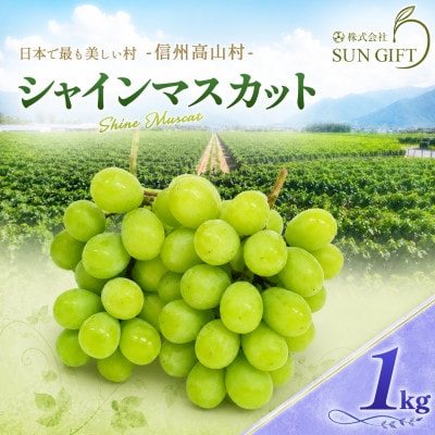 【先行受付】信州高山村産　シャインマスカット1kg(2〜3房入り)秀品(訳あり品ではございません)【配送不可地域：離島・北海道・沖縄県】【1740774】