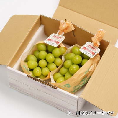 【2026年9〜10月発送】JAながの　須高産　シャインマスカット　約1.2kg　2〜3房入り【配送不可地域：離島・北海道・沖縄県】【1377390】