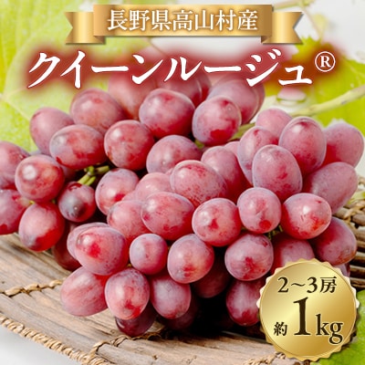 【2026年発送】クイーンルージュ(R) 2〜3房(約1kg)【配送不可地域：離島・北海道・沖縄県】【1636242】