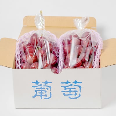 【2026年発送】クイーンルージュ(R) 4〜5房(約2kg)【配送不可地域：離島・北海道・沖縄県】【1636247】