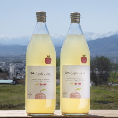 信州産りんご100%ストレートジュース　6本セット【1620484】