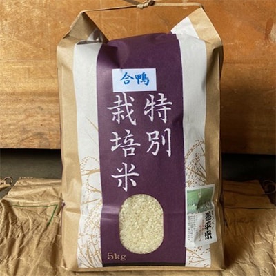 特別栽培米「ミルキークイーン」 白米5kg【1023915】