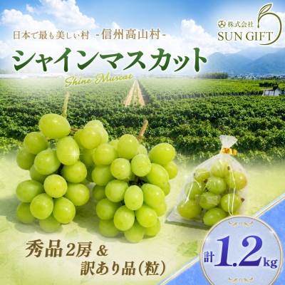 【2026年先行受付】信州高山村産 ★シャインマスカット★秀品2房+訳あり品(粒)　合計1.2kg!【配送不可地域：離島・北海道・沖縄県】【1741837】