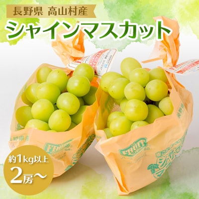 信州　高山村産　シャインマスカット　約1kg以上(2房以上)【配送不可地域：離島・北海道・沖縄県】【1633728】