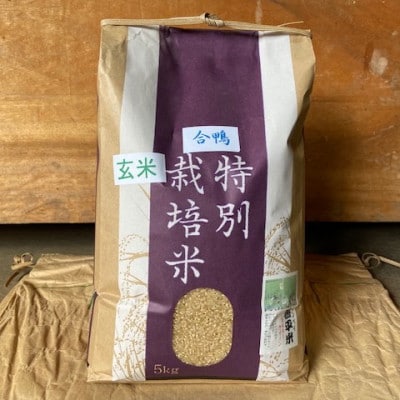 特別栽培米「ミルキークイーン」玄米 10kg(5kg×2袋)【1725871】