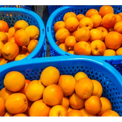 【信州産あんず】≪匠の製法が凝縮!≫ 濃厚あんずジャム 200gx4個【1534096】