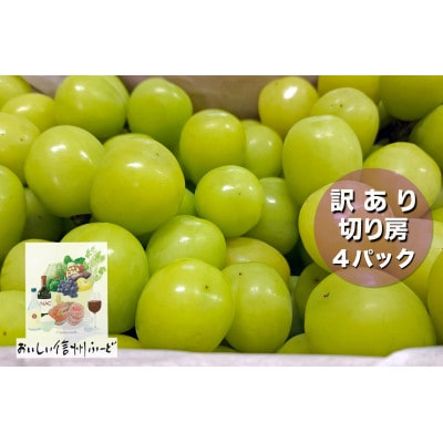 『2026年発送 先行受付』訳あり 信州産【新鮮朝採り】シャインマスカット 4パック 1.5kg以上【配送不可地域：離島】【1625534】