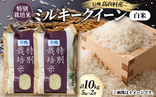 特別栽培米「ミルキークイーン」 白米 精米10kg(5kg×2袋)【1725869】