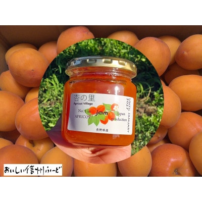 【信州産あんず】≪匠の製法が凝縮!≫ 濃厚あんずジャム 200gx4個【1534096】