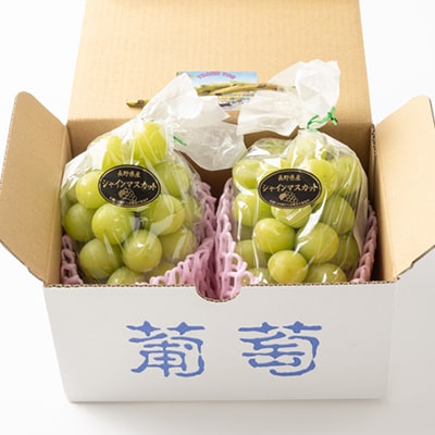 【2026発送】信州高山村 長野県産シャインマスカット　約1kg(2房入)【配送不可地域：離島・北海道・沖縄県】【1408176】