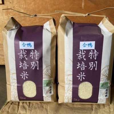 特別栽培米「ミルキークイーン」 白米 精米10kg(5kg×2袋)【1725869】