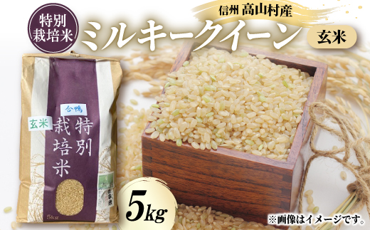 特別栽培米「ミルキークイーン」玄米 5kg【1023916】