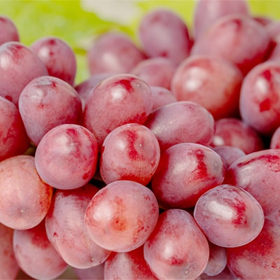 【2026年発送】クイーンルージュ(R) 2〜3房(約1kg)【配送不可地域：離島・北海道・沖縄県】【1636242】