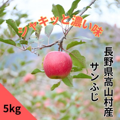 【完熟】サンふじ家庭用りんご 5kg【長野県高山村産】【1698338】