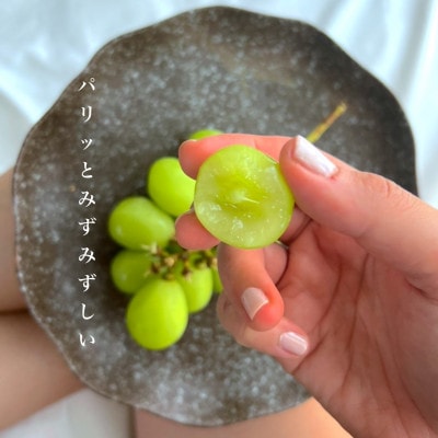 【2026年10月〜11月発送】長寿の村信州高山村産シャインマスカット約1kg箱(2房〜4房)【配送不可地域：離島・沖縄県】【1383479】