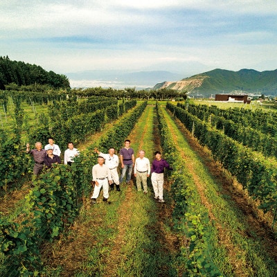 ä¿¡å·ããããŸã¯ã€ããªãŒã®ã·ã£ã«ããçœã¯ã€ã³1æ¬(é·éçé«å±±æç£ã¯ã€ã³ãããŠ100%ã®ã¯ã€ã³)ãé
éäžå¯å°åïŒé¢å³¶ãã1402297ã