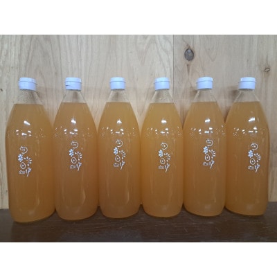 長野県高山村　ちな農園のりんごジュース　6本セット【1417063】