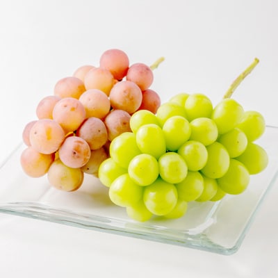 【信州産ぶどう2房セット】 シャインマスカット1房・旬の品種1房(約500g×2房)【配送不可地域：離島】【1499822】