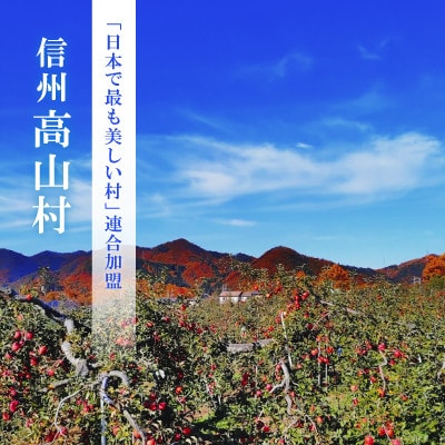 【2026年先行受付】日本で最も美しい村ー信州高山村ー　旬のりんご約5kg入り【訳あり品】【1696077】