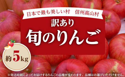 【2026年先行受付】日本で最も美しい村ー信州高山村ー　旬のりんご約5kg入り【訳あり品】【1696077】