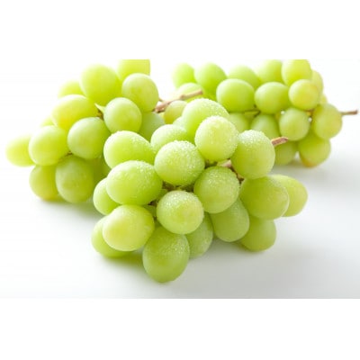 【先行受付】信州高山村産　シャインマスカット1kg(2〜3房入り)秀品(訳あり品ではございません)【配送不可地域：離島・北海道・沖縄県】【1740774】
