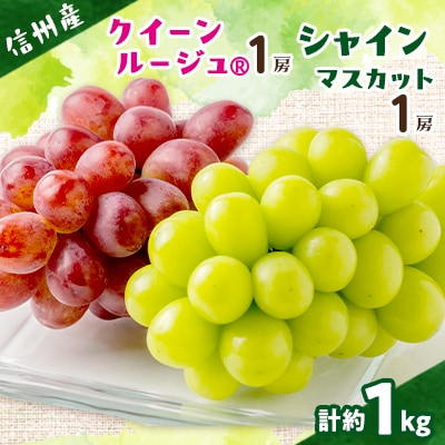 クイーンルージュ&シャインマスカット　2房セット【配送不可地域：離島】【1436453】