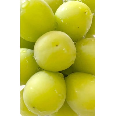 【2026発送】信州高山村 長野県産シャインマスカット　約1kg(2房入)【配送不可地域：離島・北海道・沖縄県】【1408176】