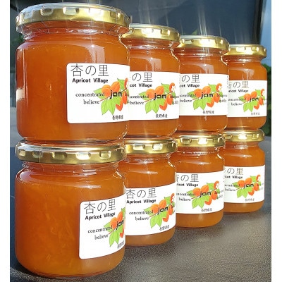 【信州産あんず】≪匠の製法が凝縮!≫ 濃厚あんずジャム 200gx4個【1534096】