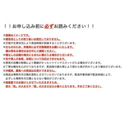 【2026年10月〜11月発送】長寿の村信州高山村産シャインマスカット約1kg箱(2房〜4房)【配送不可地域：離島・沖縄県】【1383479】