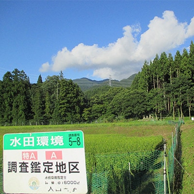 特別栽培米「ミルキークイーン」玄米 10kg(5kg×2袋)【1725871】