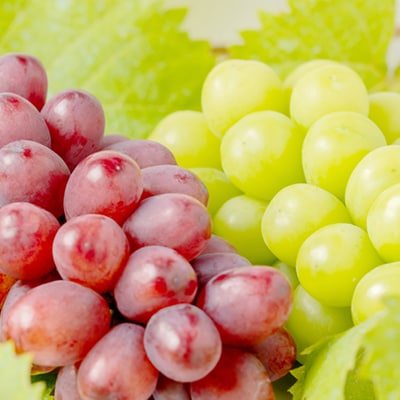 【2026年発送】シャインマスカット・クイーンルージュ(R)セット 2〜3房(約1kg)【配送不可地域：離島・北海道・沖縄県】【1636249】