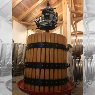 縲舌Ρ繧、繝ウ霎イ螳カ縺ョ繝ッ繧、繝ウ縲代メ繝」繧ェ 繝√Ε繧ェ 繝ュ繝繧ス 2023 繝。繝ォ繝ュ繝シ1譛ャ縲1031669縲