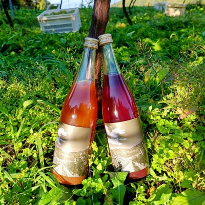 ワインぶどうのジュース 白赤セット【1665229】