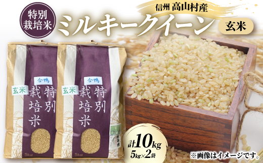 特別栽培米「ミルキークイーン」玄米 10kg(5kg×2袋)【1725871】