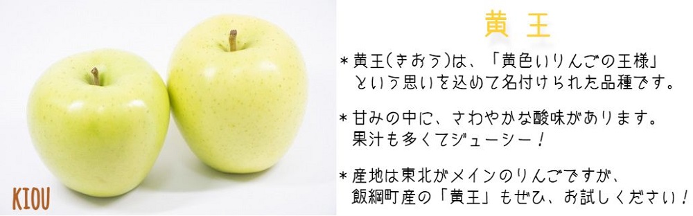 りんご 黄王 家庭用 3kg 永野農園 沖縄県への配送不可 2025年8月中旬頃から2025年8月下旬頃まで順次発送予定 令和7年度収穫分 信州 果物 フルーツ リンゴ 林檎 長野 予約 農家直送 長野県 飯綱町 [0486]