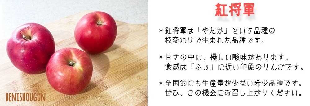 りんご 紅将軍 家庭用 3kg 永野農園 沖縄県への配送不可 2025年9月下旬頃から2025年10月上旬頃まで順次発送予定 令和7年度収穫分 信州 果物 フルーツ リンゴ 林檎 長野 予約 農家直送 長野県 飯綱町 [0798]