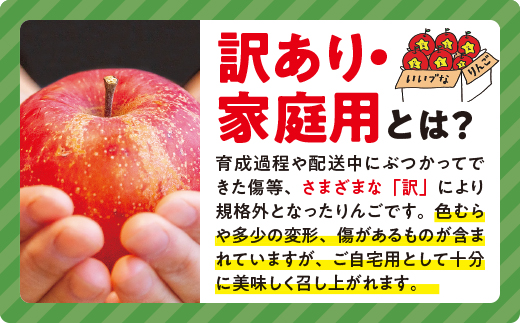 りんご サンふじ 家庭用 ( 小玉 ) 5kg 永野農園 沖縄県への配送不可 2024年12月中旬頃から2025年2月上旬頃まで順次発送予定 令和6年度収穫分 信州 果物 フルーツ リンゴ 林檎 長野 予約 農家直送 長野県 飯綱町 [0600]