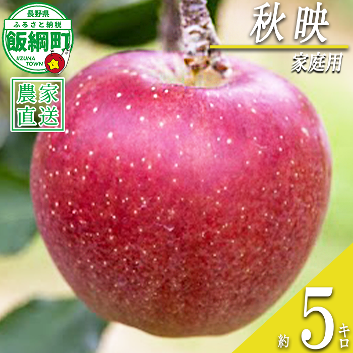 りんご 秋映 家庭用 5kg 丸山りんご園 沖縄県への配送不可 2026年10月上旬頃から2026年10月下旬頃まで順次発送予定 令和8年度収穫分 信州 果物 フルーツ リンゴ 林檎 長野 予約 農家直送 長野県 飯綱町 [0707]