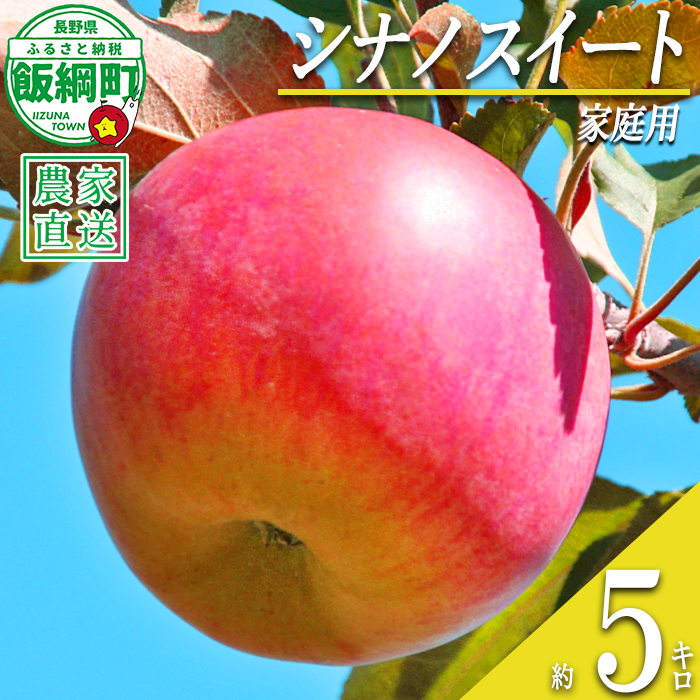 りんご シナノスイート 家庭用 5kg 丸山りんご園 沖縄県への配送不可 2026年10月上旬頃から2026年11月上旬頃まで順次発送予定 令和8年度収穫分 信州 果物 フルーツ リンゴ 林檎 長野 予約 農家直送 長野県 飯綱町 [0398]