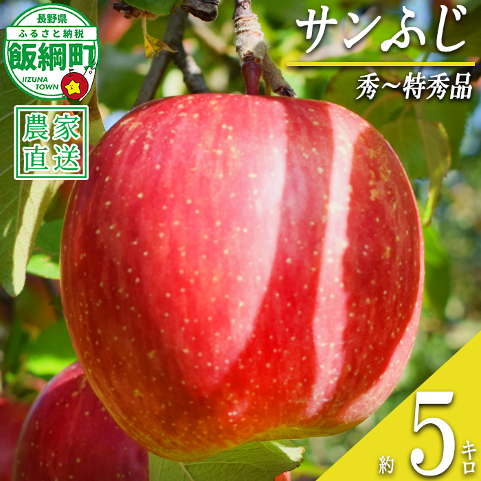 りんご サンふじ 秀 ～ 特秀 5kg 丸山りんご園 沖縄県への配送不可 2026年12月上旬頃から2027年1月上旬頃まで順次発送予定 令和8年度収穫分 信州 果物 フルーツ リンゴ 林檎 長野 予約 農家直送 長野県 飯綱町 [0264]