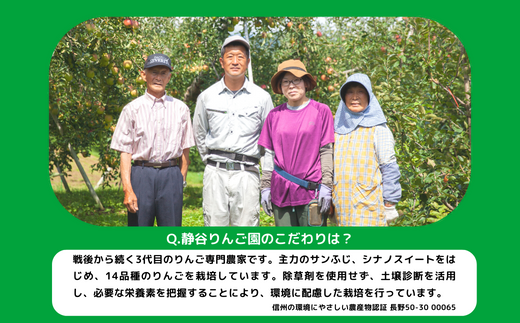 りんごジュース 1000ml × 3本 沖縄県への配送不可 静谷りんご園 減農薬栽培 完熟 サンふじ 果汁100％ 信州の環境にやさしい農産物認証 長野県 飯綱町 [0632]