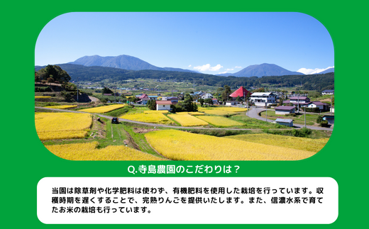 米 こしひかり 10kg ( 令和6年産 ) 沖縄県への配送不可 2024年10月上旬頃から2024年10月中旬頃まで順次発送予定 寺島農園 コシヒカリ 白米 精米 お米 信州 予約 農家直送 長野県 飯綱町 [0771]