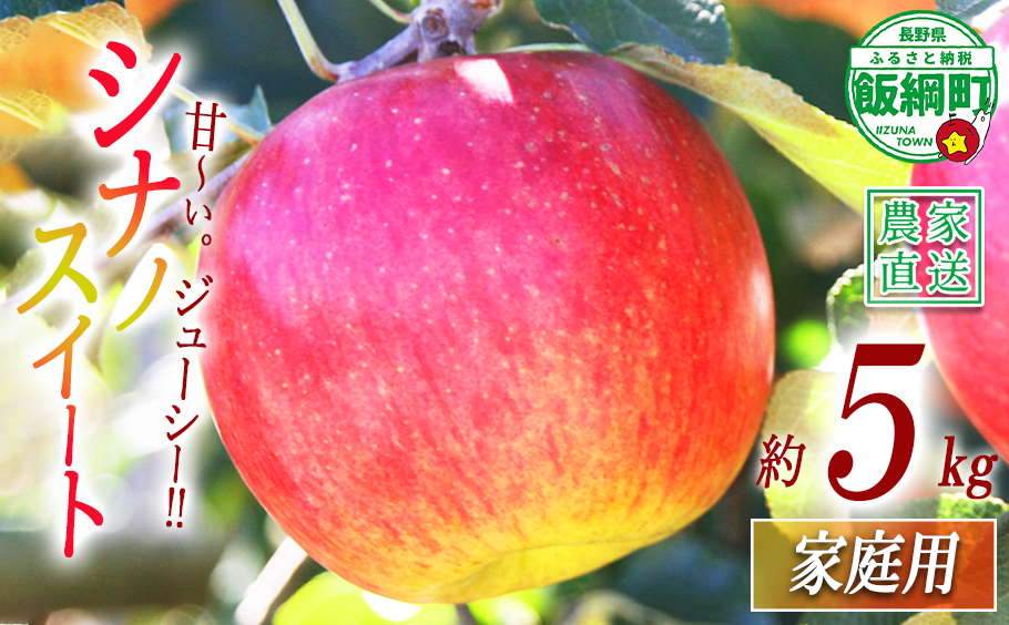 りんご シナノスイート 家庭用 5kg マルカズりんご農園 沖縄県への配送不可 2026年10月中旬頃から2026年10月下旬頃まで順次発送予定 令和8年度収穫分 信州 果物 フルーツ リンゴ 林檎 長野 予約 農家直送 長野県 飯綱町 [0991]