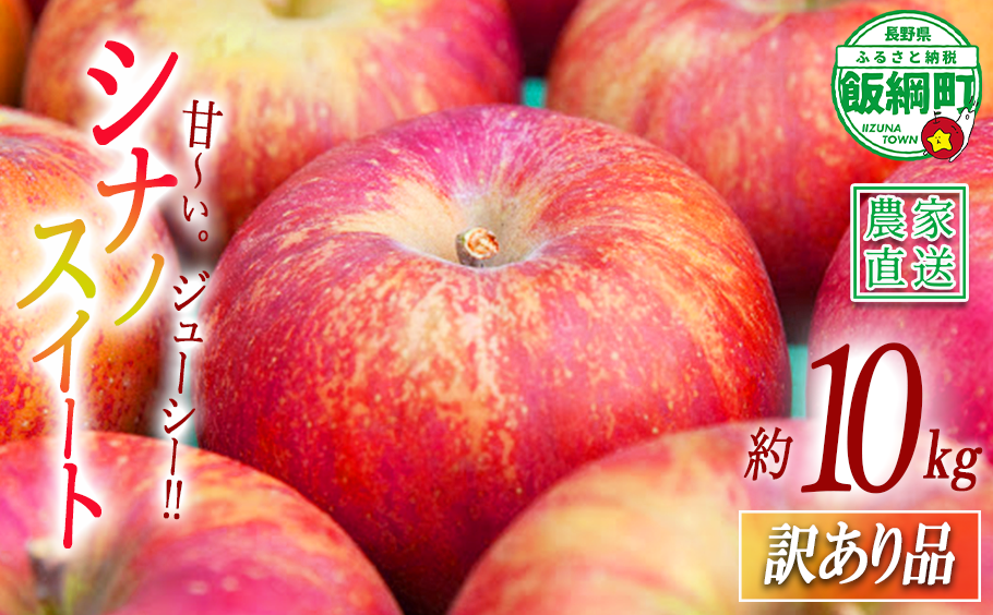 りんご シナノスイート 訳あり 10kg マルカズりんご農園 2026年10月上旬頃から2026年10月下旬頃まで順次発送予定 令和8年度収穫分 傷 不揃い リンゴ 林檎 果物 フルーツ 信州 長野 予約 農家直送 長野県 飯綱町 [1391]
