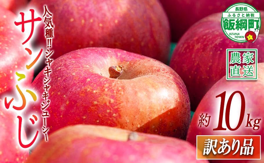 りんご サンふじ 訳あり 10kg マルカズりんご農園 2026年11月下旬頃から2026年12月下旬頃まで順次発送予定 令和8年度収穫分 傷 不揃い リンゴ 林檎 果物 フルーツ 信州 長野 予約 農家直送 長野県 飯綱町 [1392]