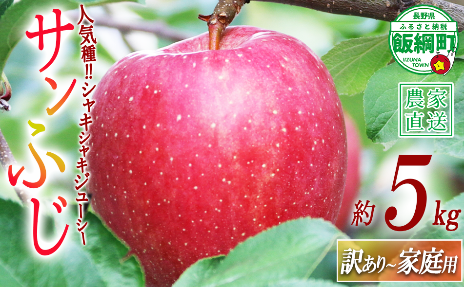 りんご サンふじ 訳あり 〜 家庭用 5kg ヒライ農園 沖縄県への配送不可 2026年12月上旬頃から2026年12月下旬頃まで順次発送予定 令和8年度収穫分 信州の環境にやさしい農産物認証 減農薬栽培 長野県 飯綱町 [0986]