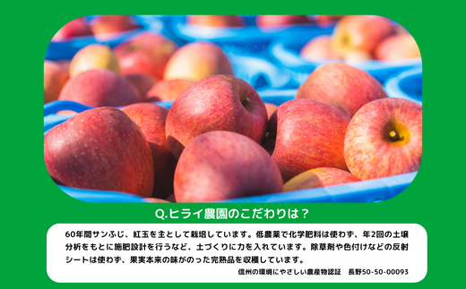 りんご サンふじ 秀 ～ 特秀 5kg ヒライ農園 沖縄県への配送不可 2026年12月上旬頃から2026年12月中旬頃まで順次発送予定 令和8年度収穫分 信州の環境にやさしい農産物認証 減農薬栽培 長野県 飯綱町 [0350]