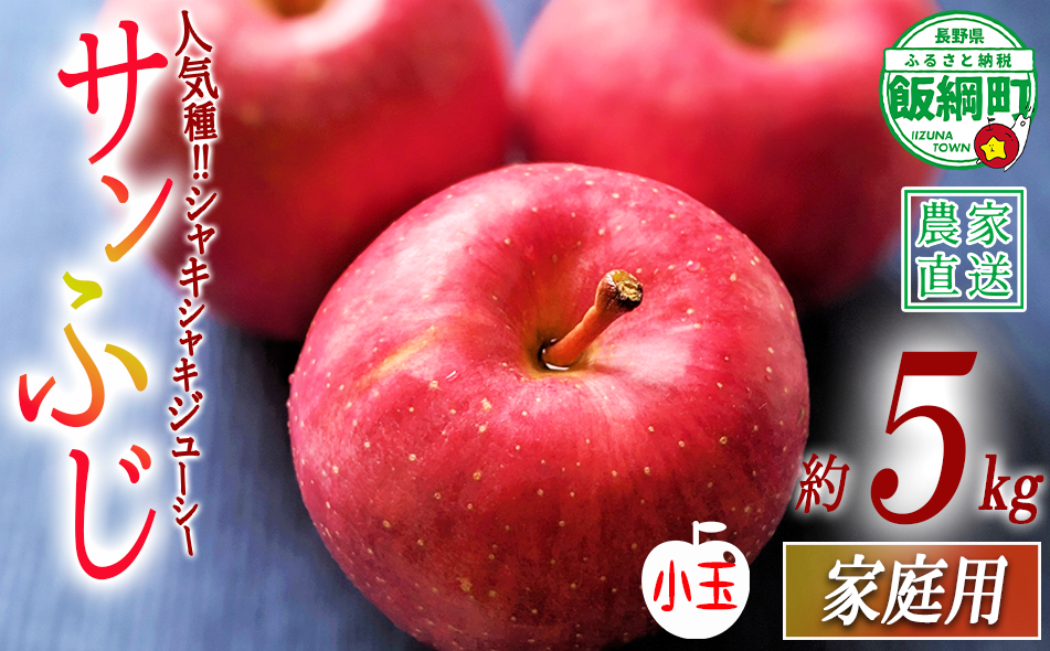 りんご サンふじ ( 小玉 ) 家庭用 5kg ヒライ農園 沖縄県への配送不可 2026年12月上旬頃から2026年12月下旬頃まで順次発送予定 令和8年度収穫分 信州の環境にやさしい農産物認証 減農薬栽培 長野県 飯綱町 [0700]