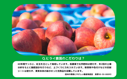 りんご サンふじ ( 小玉 ) 家庭用 5kg ヒライ農園 沖縄県への配送不可 2024年12月上旬頃から2024年12月下旬頃まで順次発送予定 令和6年度収穫分 信州の環境にやさしい農産物認証 減農薬栽培 長野県 飯綱町 [0700]